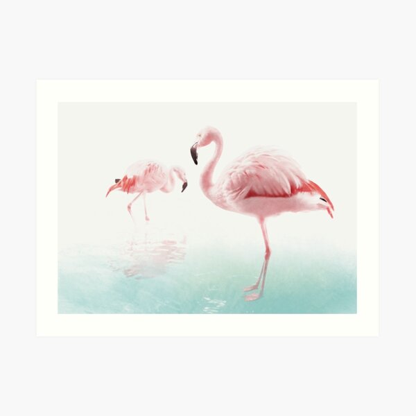 Flamingos Art Print