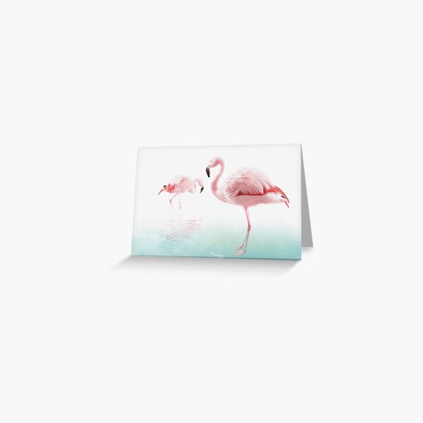 Flamencos Tarjetas de felicitación
