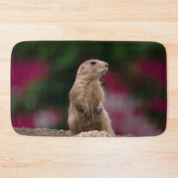 Item preview, Black-tailed Prairie Dog designed and sold by rawshutterbug.