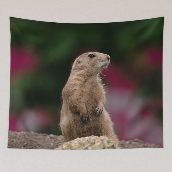 Item preview, Black-tailed Prairie Dog designed and sold by rawshutterbug.