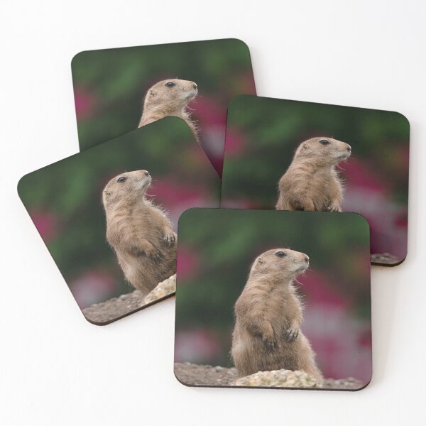 Item preview, Black-tailed Prairie Dog designed and sold by rawshutterbug.