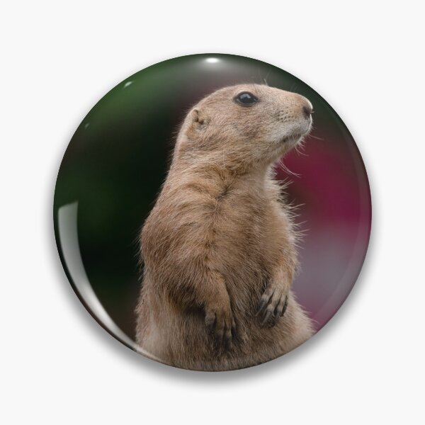 Item preview, Black-tailed Prairie Dog designed and sold by rawshutterbug.