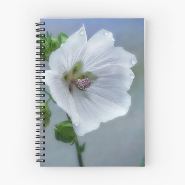 Item preview,  Malva White designed and sold by John Ray.