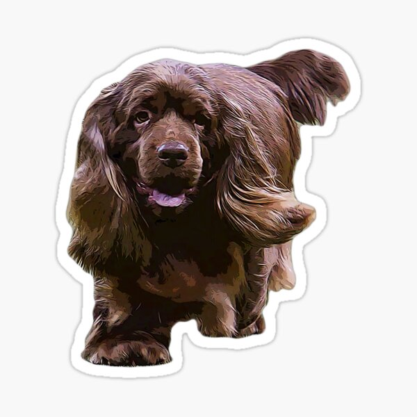 Item preview, Sussex Spaniel - Beautiful Dog designed and sold by ElegantCat.