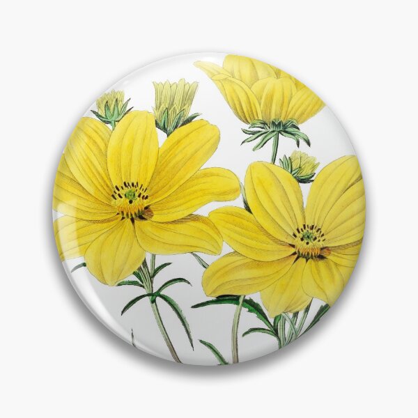 Item preview, Golden Coreopsis Tickseed designed and sold by domdjs4239.