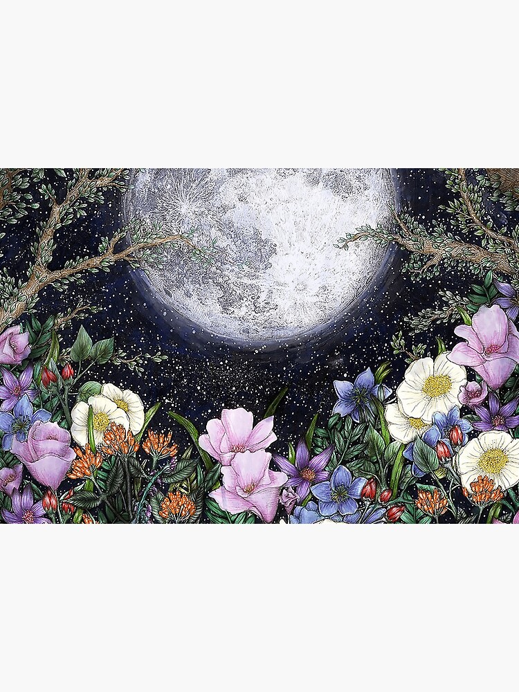 Midnight in the Garden II by ECMazur