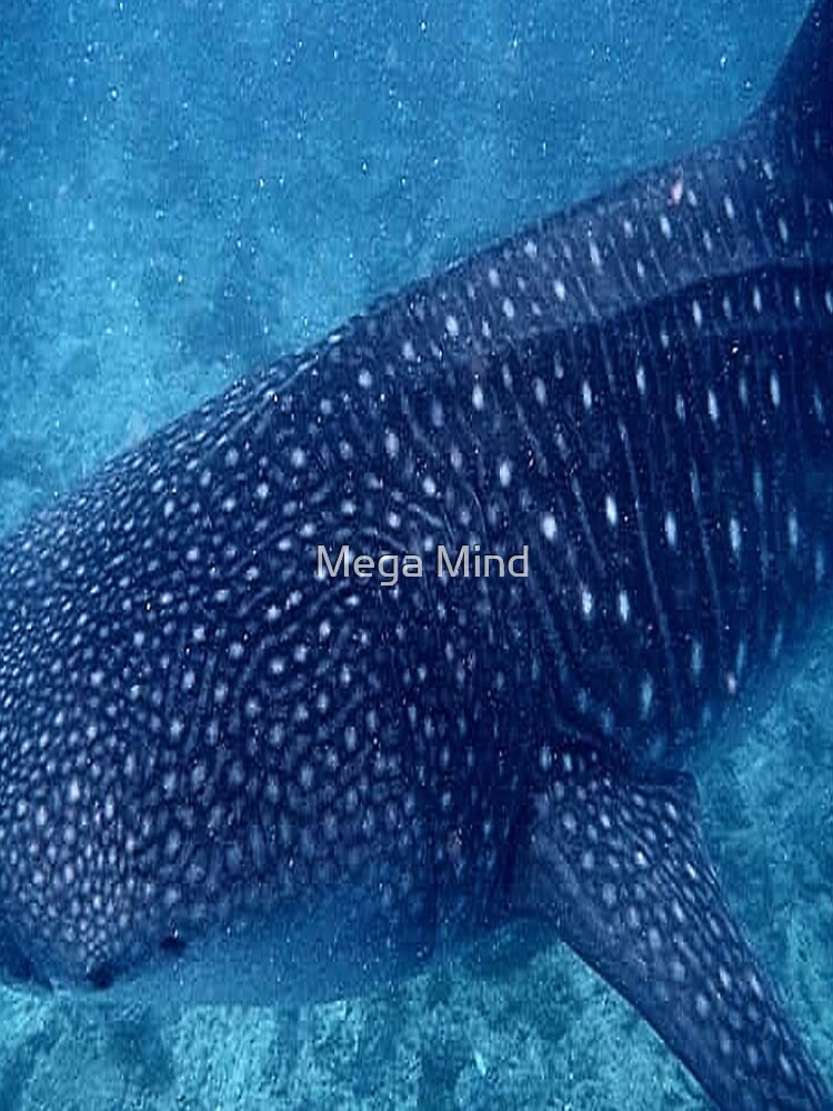 Disover Whale shark landescape- Sticker- Pillow cover Leggings
