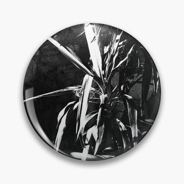 Item preview, Yucca designed and sold by Paul Pasco.