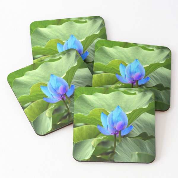 Item preview, Green foliage with a blue flower. redecorate, refurbish, Bird, nature designed and sold by jayne0524.