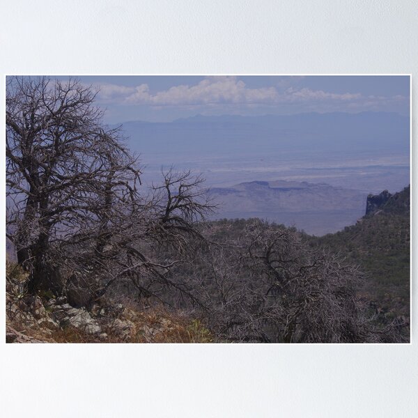 The Route to Emory Peak - Chisos Mountains - Big Bend National Park in June Poster