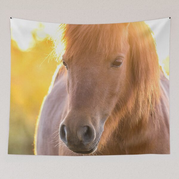 Item preview, Polly designed and sold by Penny Kittel.