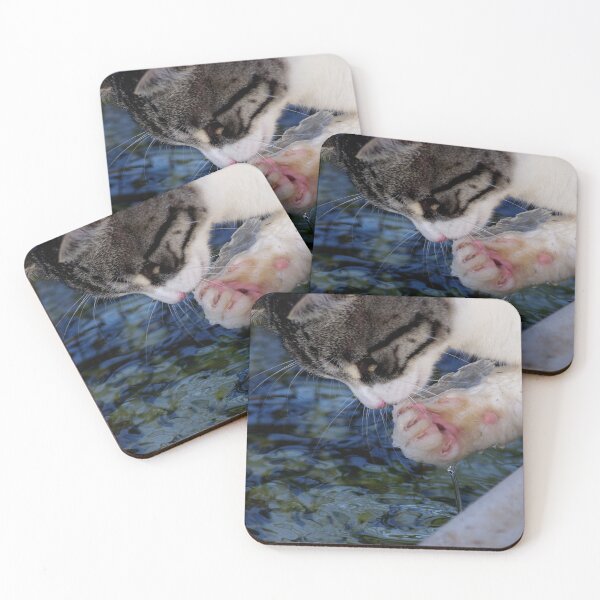 Item preview, One cool cat.. designed and sold by Penny Kittel.