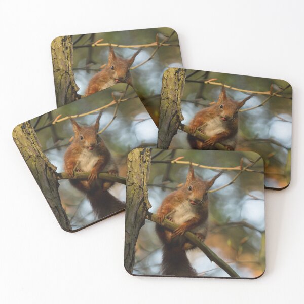 Item preview, Red Squirrel designed and sold by Jane Stanley Photography.