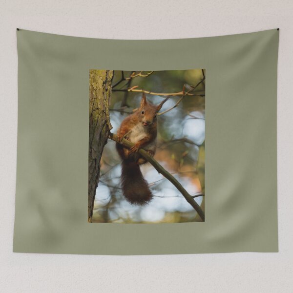 Item preview, Red Squirrel designed and sold by Jane Stanley Photography.