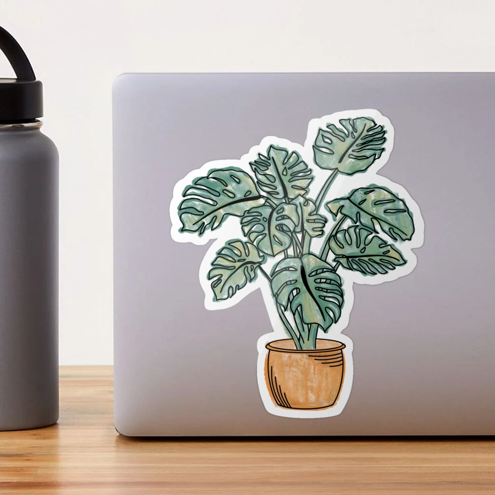 Stickers For A Water Bottle - Potted Plants Clear Sticker