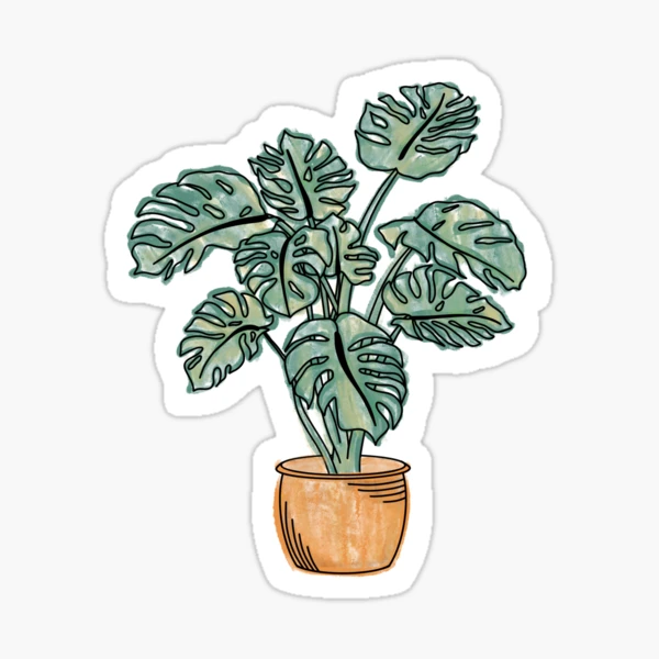 House plants stickers, boho plants, potted plants