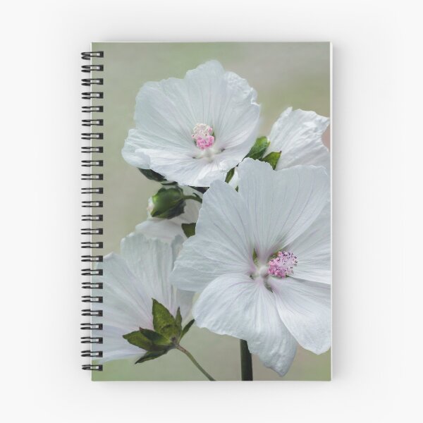 Item preview, White Malva designed and sold by John Ray.