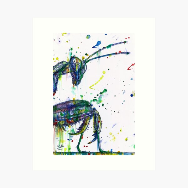 Item preview, PRAYING MANTIS watercolor and ink portrait.1 designed and sold by lautir.