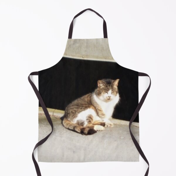 Item preview, Happy Sunshine Canoe Cat designed and sold by MooseDogPhotos.
