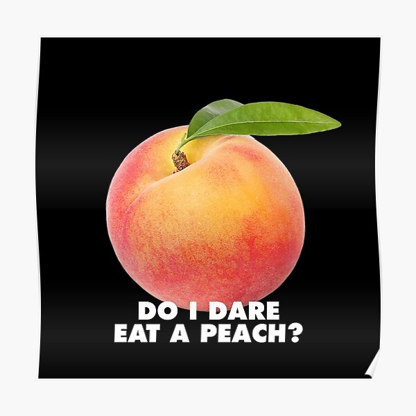 eat a peach a memoir