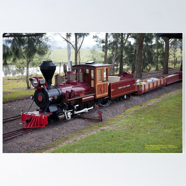 Baldwin 2-8-0 Model Loco of PVR at Paterson, NSW Australia Poster