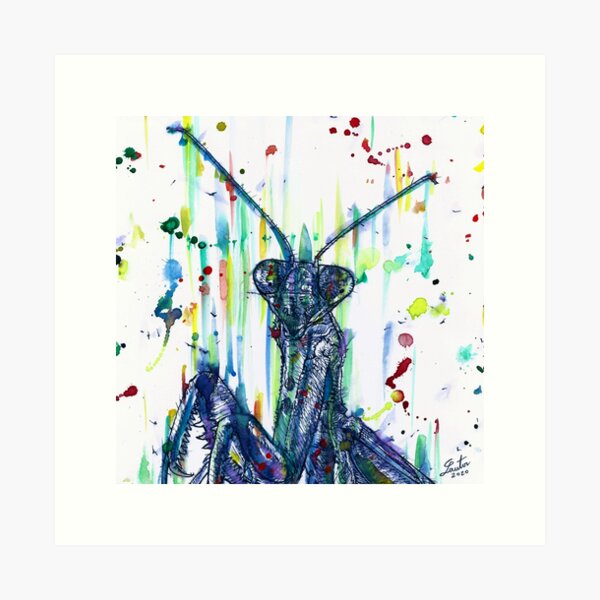 Item preview, PRAYING MANTIS watercolor and ink portrait.2 designed and sold by lautir.