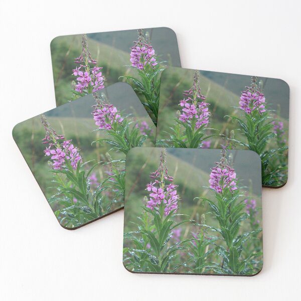 Item preview, Rosebay willow herbs designed and sold by pinkal.