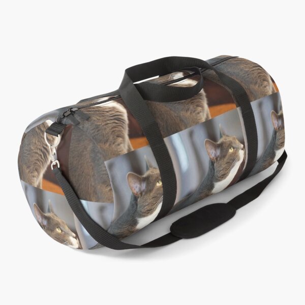 Item preview, Big Grey Cat designed and sold by MooseDogPhotos.