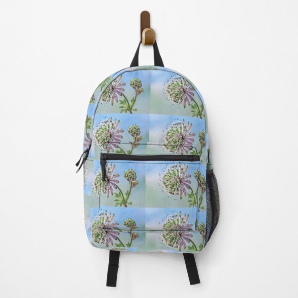 Item preview, Astrantia and Bud designed and sold by John Ray.