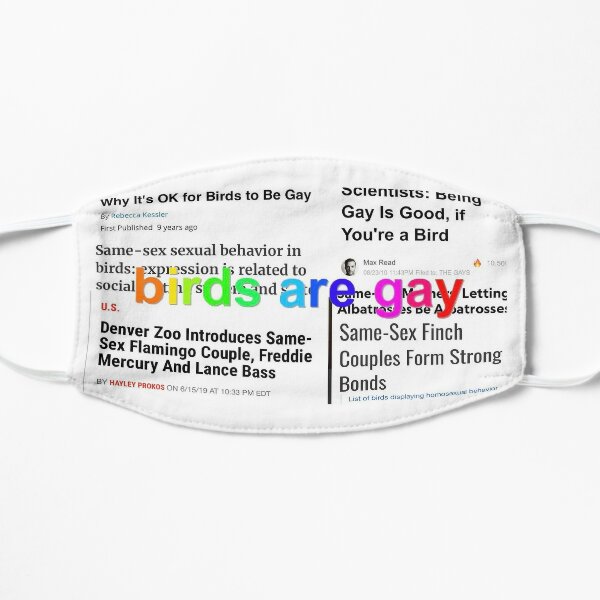 birds are gay (rainbow text) Flat Mask