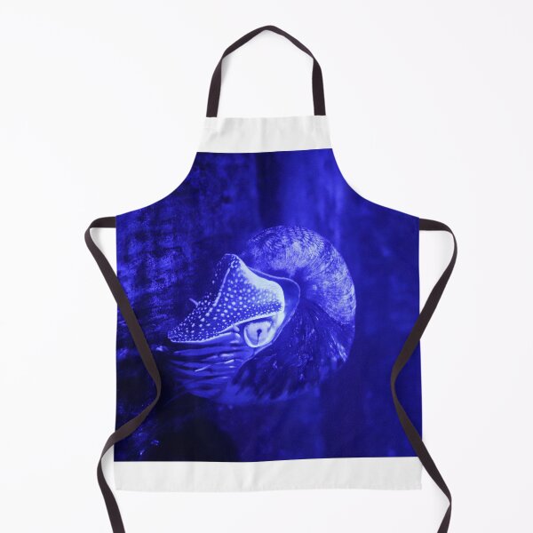 Item preview, Neon Nautilus designed and sold by Alison Hindenlang.