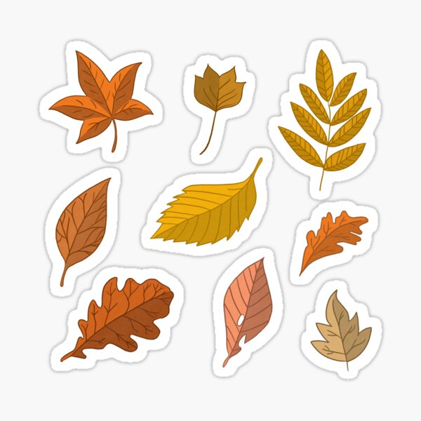 Fall Oak Leaf  Sticker small 3-3.8 Inch or large 5-6 Inch  Multi Pack Discounts
