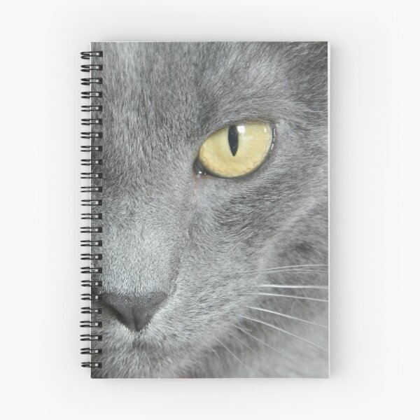 Item preview, Russian Blue Cat designed and sold by PetPeevee.