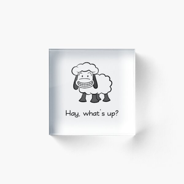 Hay, what's up? Acrylic Block