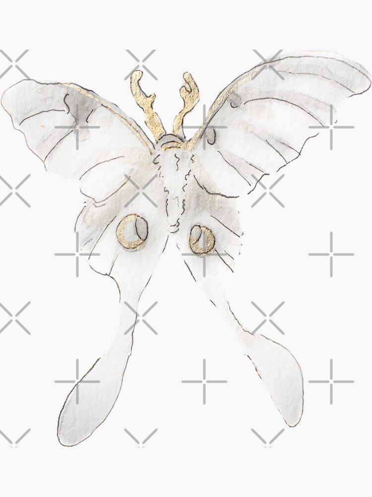 Gold Gilded Lunar Moth Illustration in Watercolor by WitchofWhimsy