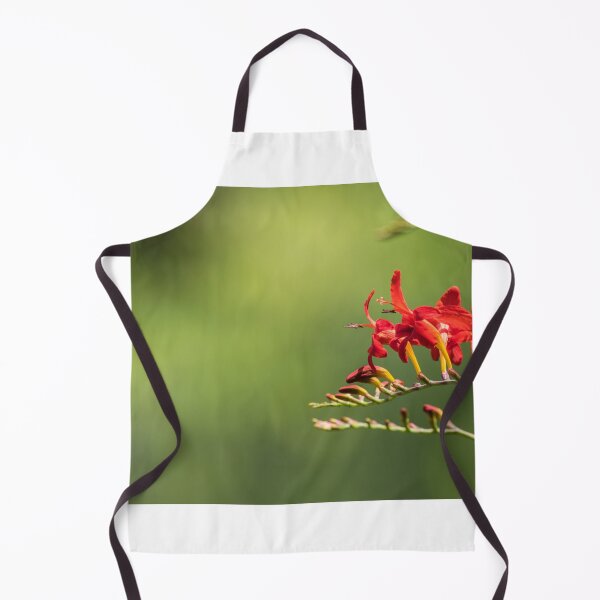 Item preview, Crocosmia Lucifer, Montbretia, a beautiful red flower designed and sold by Rabbitti.