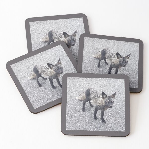 Item preview, Silver Fox designed and sold by Emily Bickell.