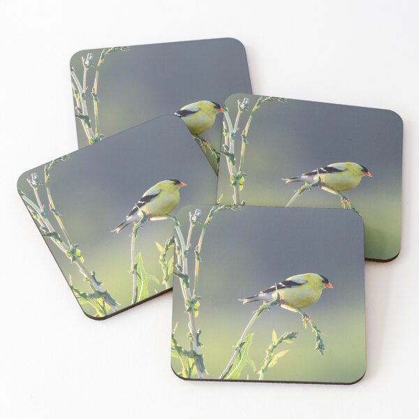 Item preview, Beautiful Eastern Goldfinch perched on green plant at sunrise  designed and sold by Rabbitti.