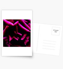 Color Abstract Rose Postcards