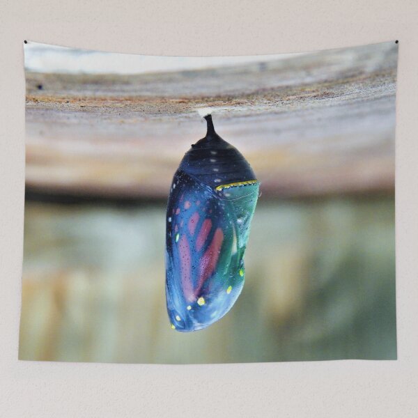 Item preview, Monarch Colorful Cocoon designed and sold by PetPeevee.