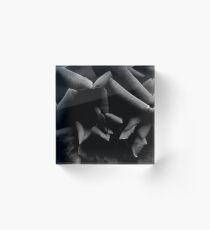 Black & White Abstract Rose Acrylic Block