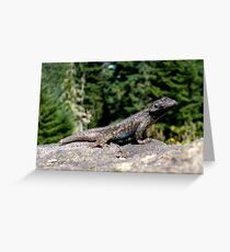 Mr. Blackie Greeting Card