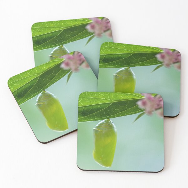 Item preview, Monarch Butterfly Chrysalis macro newly formed on Swamp Milkweed designed and sold by Rabbitti.