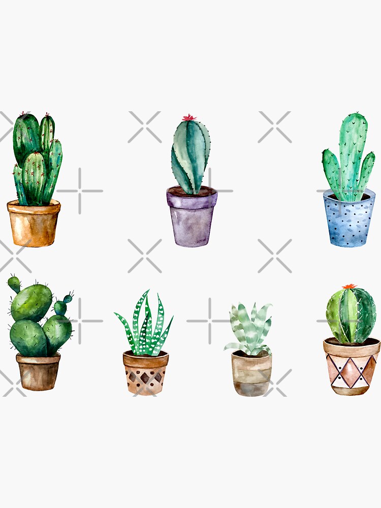 Cactus and little plants pattern by BekkaCampbell
