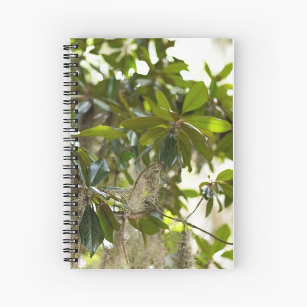 Magnolia Tree Spiral Notebook