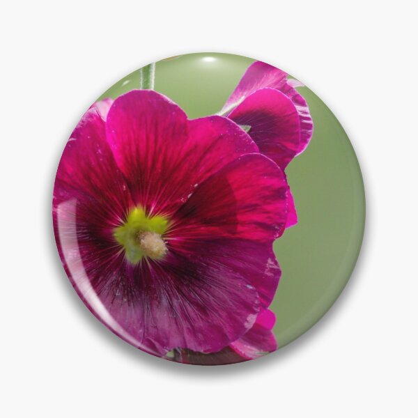 Item preview, Large wine-colored Hollyhock flowers soft green background  designed and sold by Rabbitti.