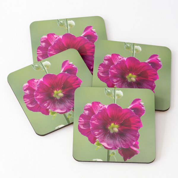 Item preview, Large wine-colored Hollyhock flowers soft green background  designed and sold by Rabbitti.
