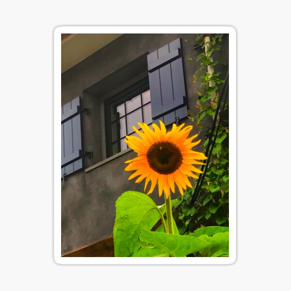 Nouveau design fait main pleine longueur Adulte Tablier-Coqs et tournesols