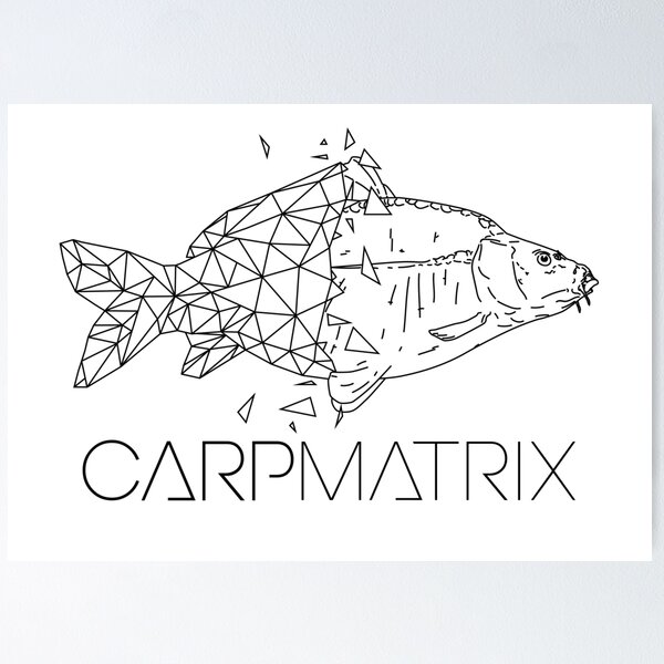 Matrix Fishing Posters for Sale
