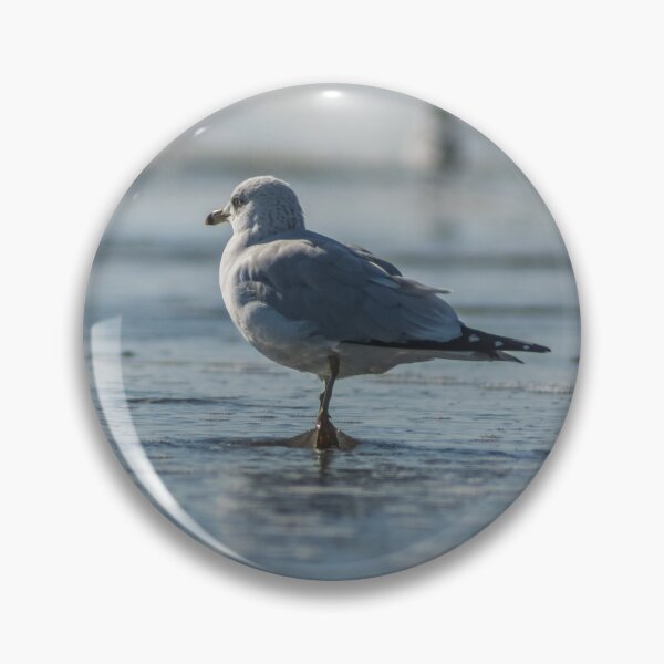 Artikelvorschau, Möwe Strand entworfen und verkauft von KensLensDesigns.